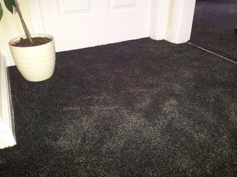 Carpets